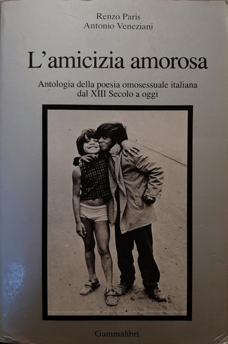 Copertina  L'amicizia amorosa
