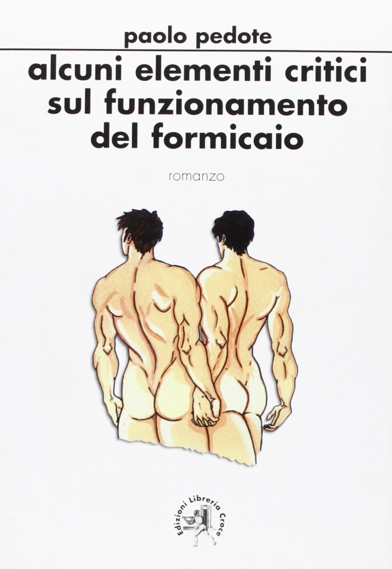 Copertina  Alcuni elementi critici sul funzionamento del formicaio